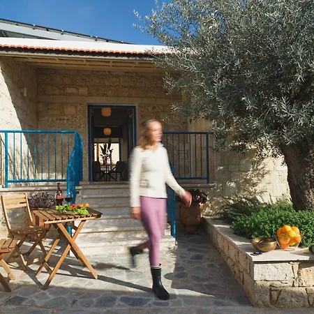 Maisonette At The Olive Manor * Peristerona (Paphos)